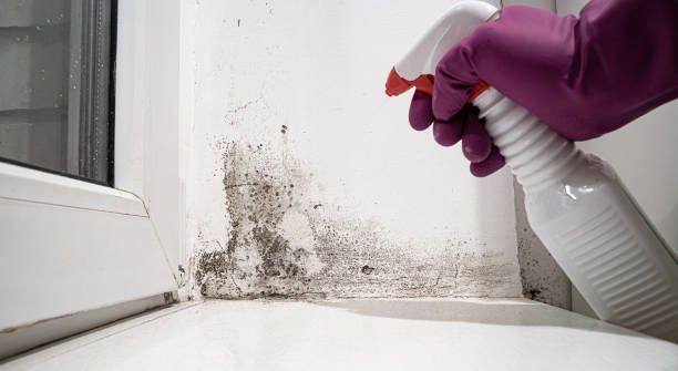 Trusted Island City, OR Water damage restoration Experts